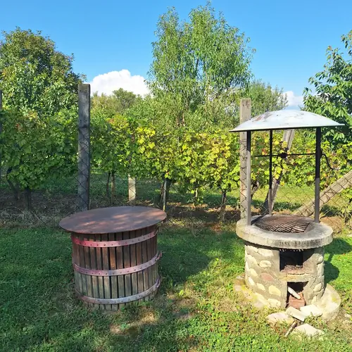 Bográcsozó és szőlőlugas